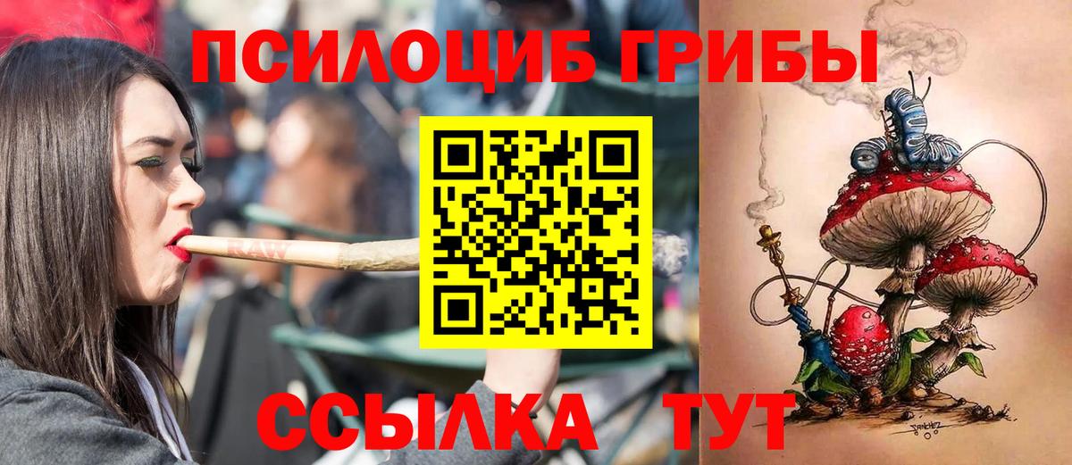 Галлюциногенные грибы Cubensis Тавда